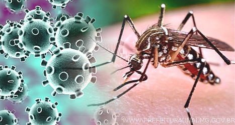  Saúde pede que população cuide de seus quintais, para evitar epidemias simultâneas de dengue e covid-19