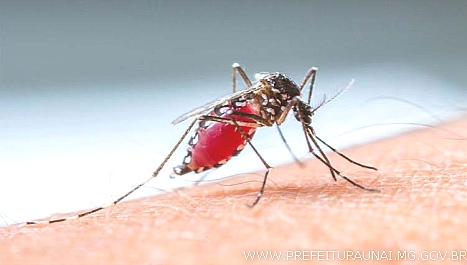 Unaí registra 20 casos confirmados de dengue nos últimos dias 