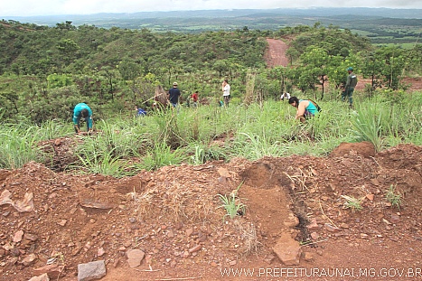 Projeto da PMU com IEF começa por plantio de 300 árvores na Serra do Taquaril
