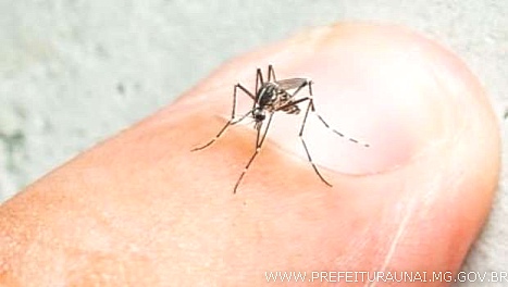 Combate à dengue: PMU muda horário dos agentes, para melhor atender população 