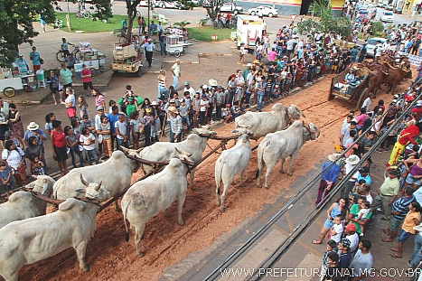 21ª Festa da Moagem de Unaí preserva a tradição do carro de bois com desfile na avenida