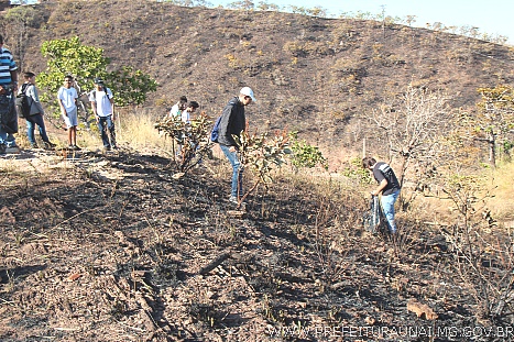 Resíduo “jogado” na Serra do Taquaril é causa da maioria de focos de incêndio