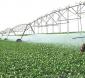 Unaí lidera produção agrícola em Minas Gerais