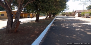 Limpeza geral em Palmeirinha 