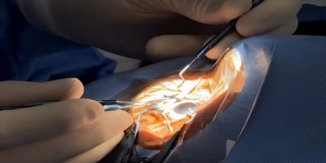 Mais de 1.000 motivos para enxergar Unaí com outros olhos