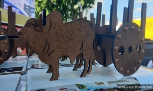 25ª Festa da Moagem e do Carro de Bois de Unaí valoriza tradição e preserva cultura raiz