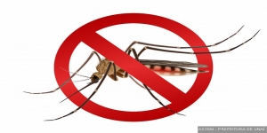  Unaí registra redução de 98,2% nos casos de dengue em comparação com 2024