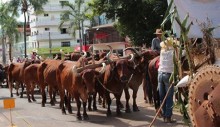 24-festa-da-moagem-entre-40-e-50-carros-desfilarao-pela-avenida-nesta-quarta-30-4