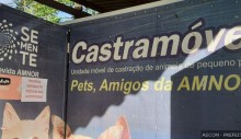 parceria-pmu-amnor-vai-resultar-em-mais-450-castracoes-de-caes