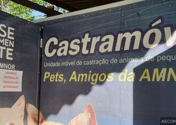 Parceria PMU/AMNOR vai resultar em mais 450 castrações de cães