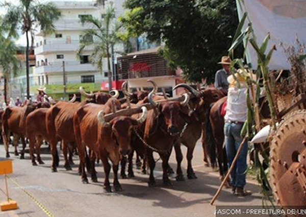 24ª Festa da Moagem:  entre 40 e 50 carros desfilarão pela avenida nesta quarta (30/4)