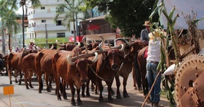24ª Festa da Moagem:  cerca de 50 carros desfilarão pela avenida nesta quarta (30/4)