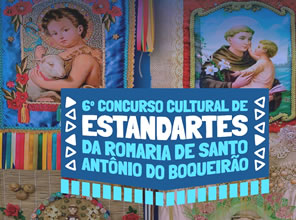 6 concurso estandartes ban lateral