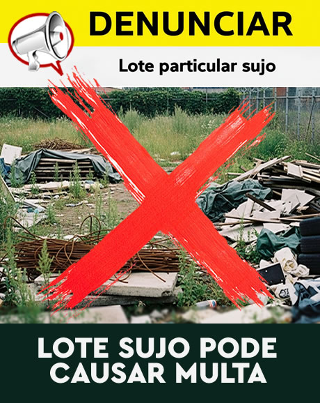denunciar lote particular sujo2