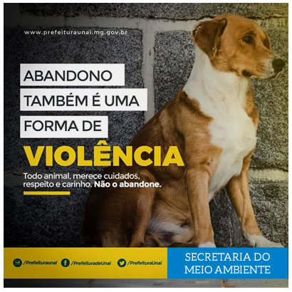 contra abandono animais