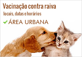 vacinacao caes gatos urbana