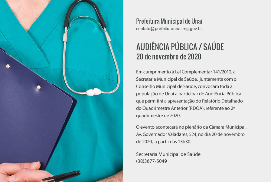 audiencia publica 20 novembro2020