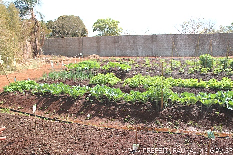 horti 0001