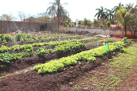 horti 0002
