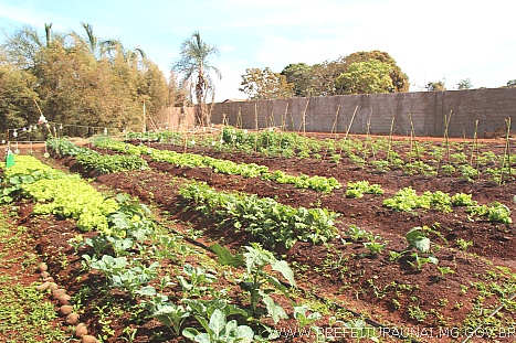 horti 0003