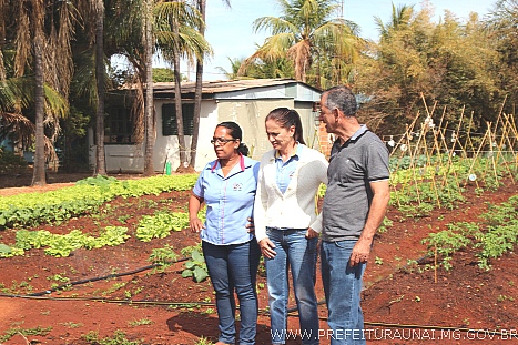 horti 0006