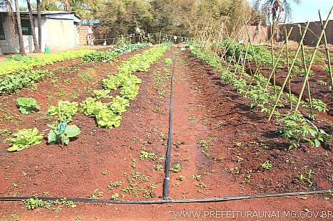horti 0009