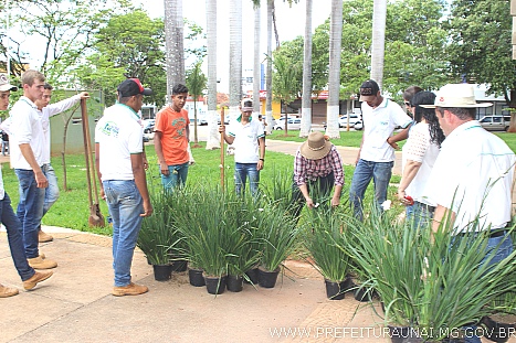plantaaa 0009