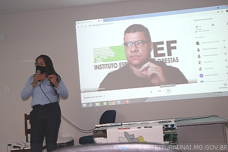 amnorsee 0014