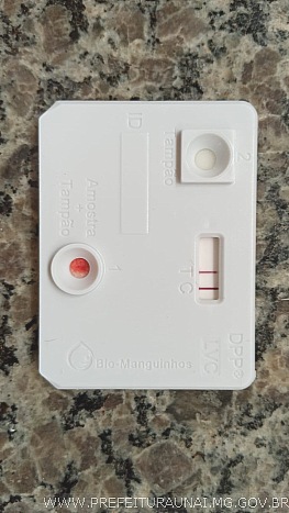leichh 0008