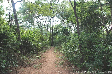 parkduu 0003