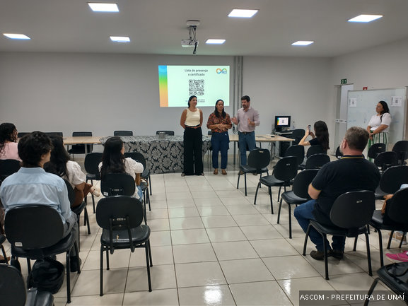 capacitafebremarela02