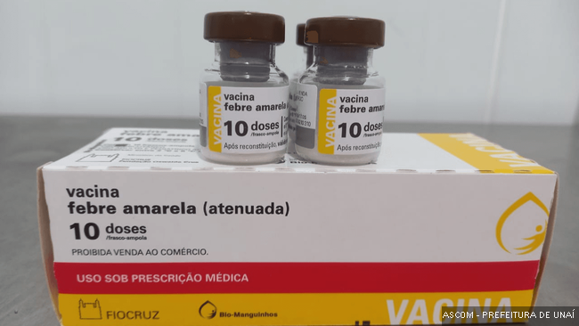 febreamarelaa01