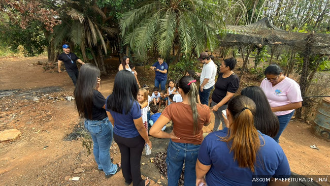 projetoviveiro17