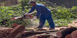 Prefeitura trabalha para garantir a segurança e o bem-estar dos cidadãos após temporal