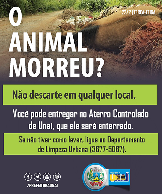 recolhimento corpo animal morto