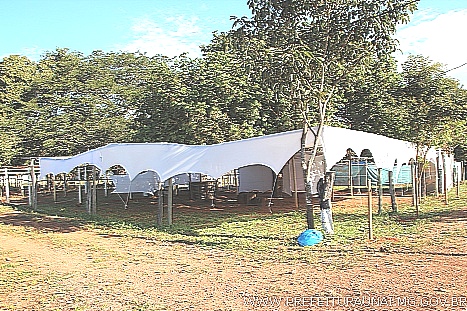 feboqq 0001