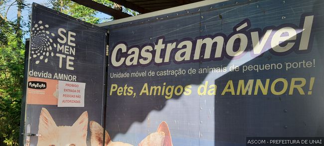 parceria-pmu-amnor-vai-resultar-em-mais-450-castracoes-de-caes