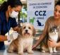 Vacinação de cães e gatos na cidade começa dia 27/8